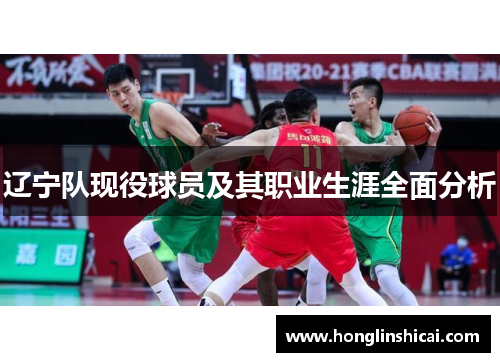 辽宁队现役球员及其职业生涯全面分析